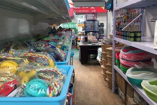 宝丰县宠物用品:宝丰县宠物用品批发市场