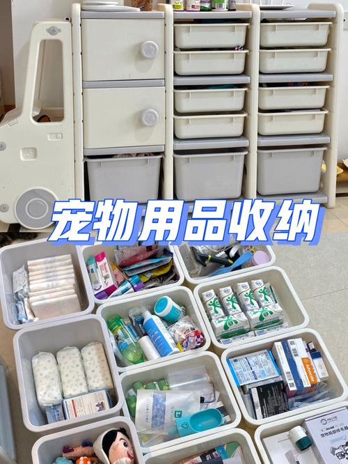 疫情囤货宠物用品:疫情囤货宠物用品推荐