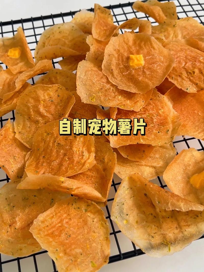 自制零食宠物消毒，自制零食宠物消毒用什么