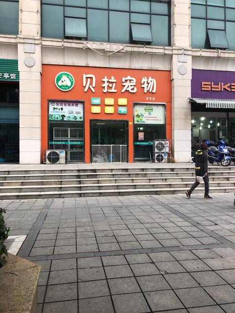 上海专业宠物市场，上海宠物市场地址大全