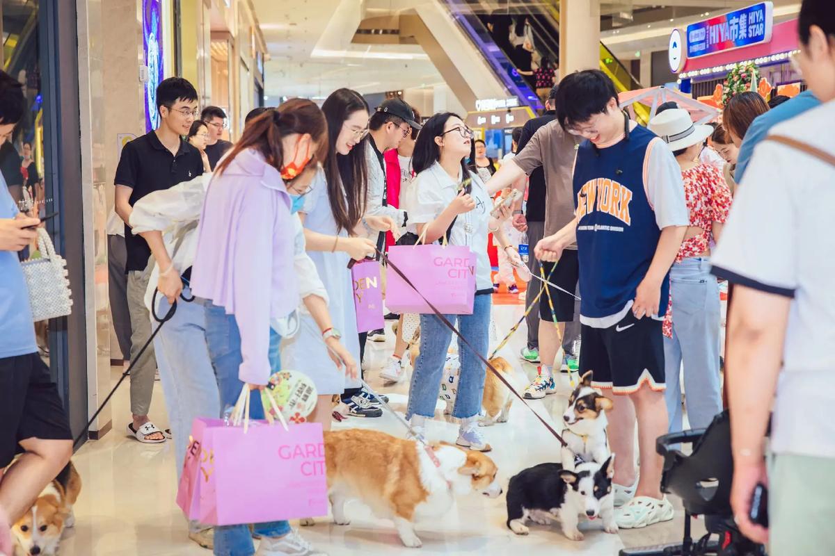 徐州宠物用品前景:徐州宠物用品批发市场