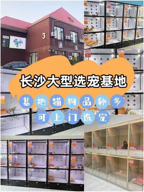 长治滨湖宠物市场电话，长治滨湖宠物市场电话号码