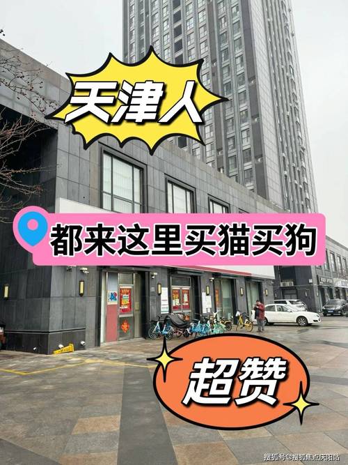 天津最便宜宠物市场，天津最便宜宠物市场在哪里