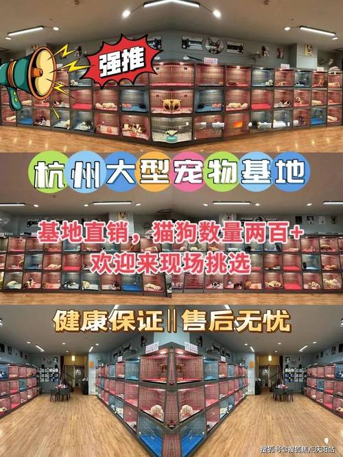 可靠的宠物用品网店:宠物用品类购物网站