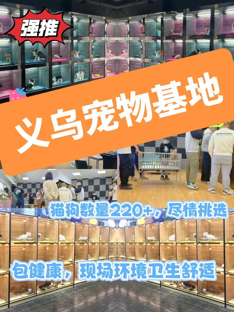 义乌宠物市场地点，义乌宠物市场地点在哪里