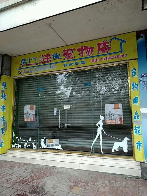 蜀山宠物市场人气推荐，蜀山宠物狗店