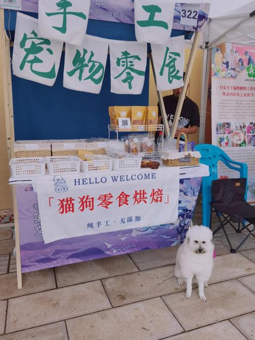 宁波自制宠物零食批发，宁波自制宠物零食批发市场