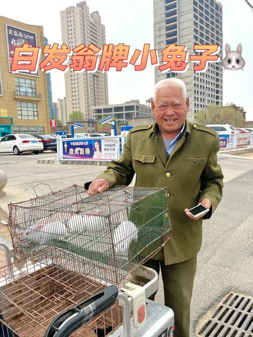 沧州有兔子宠物市场，沧州有兔子宠物市场吗