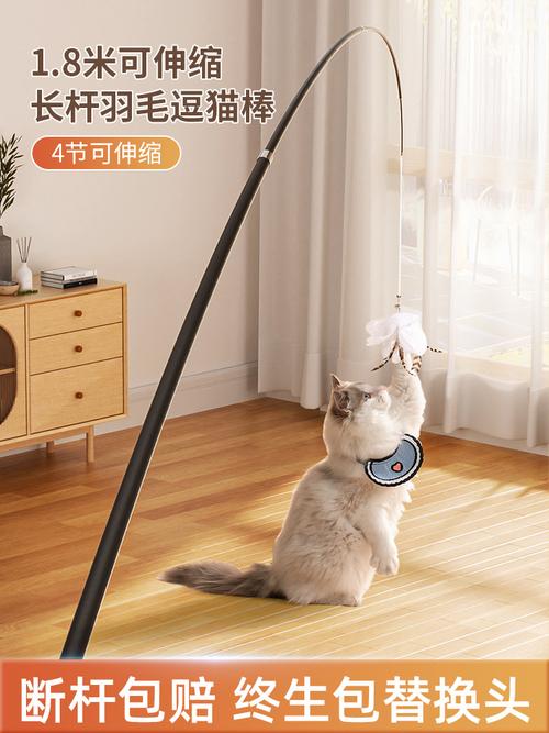 直播猫咪宠物用品，直播猫咪宠物用品是什么